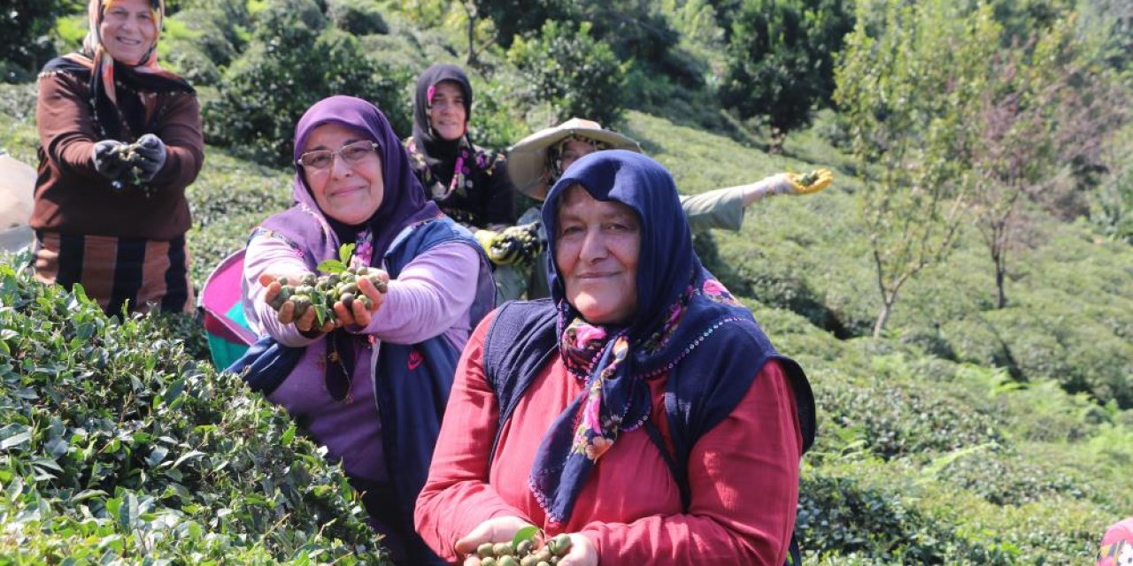 ÇAYIN HER TÜRLÜSÜ PARA