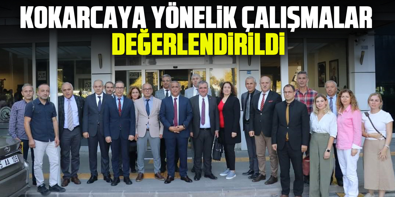 Kokarcaya Yönelik Çalışmalar Değerlendirildi