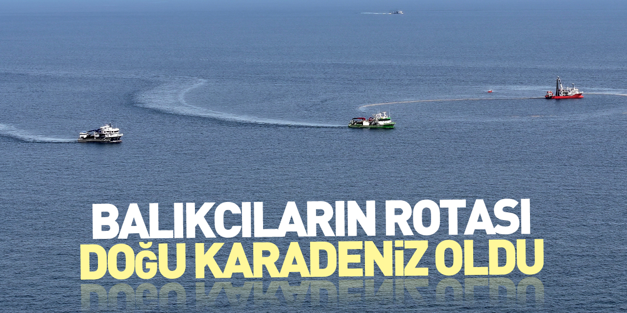 Balıkçıların rotası, Doğu Karadeniz oldu