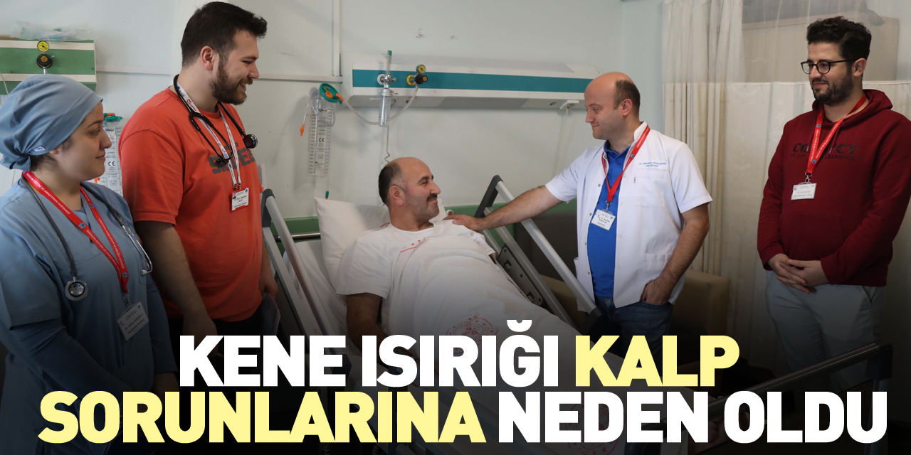 KENE ISIRIĞI KALP SORUNLARINA NEDEN OLDU