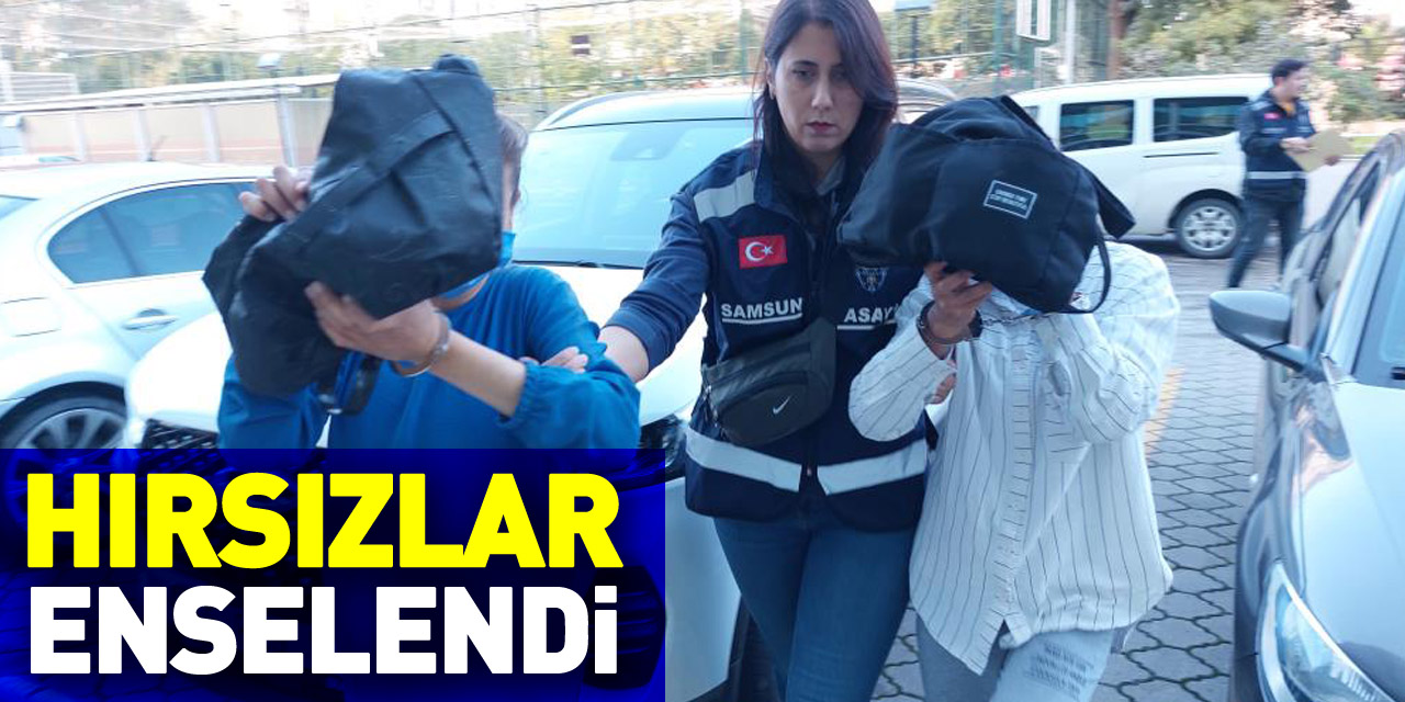 HIRSIZLAR ENSELENDİ