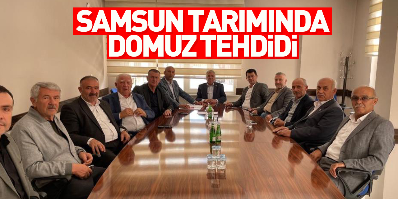 SAMSUN TARIMINDA DOMUZ TEHDİDİ