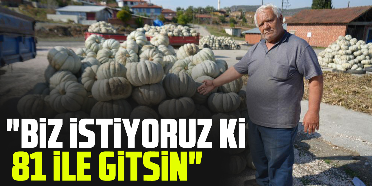 " biz istiyoruz ki 81 şehre gitsin"