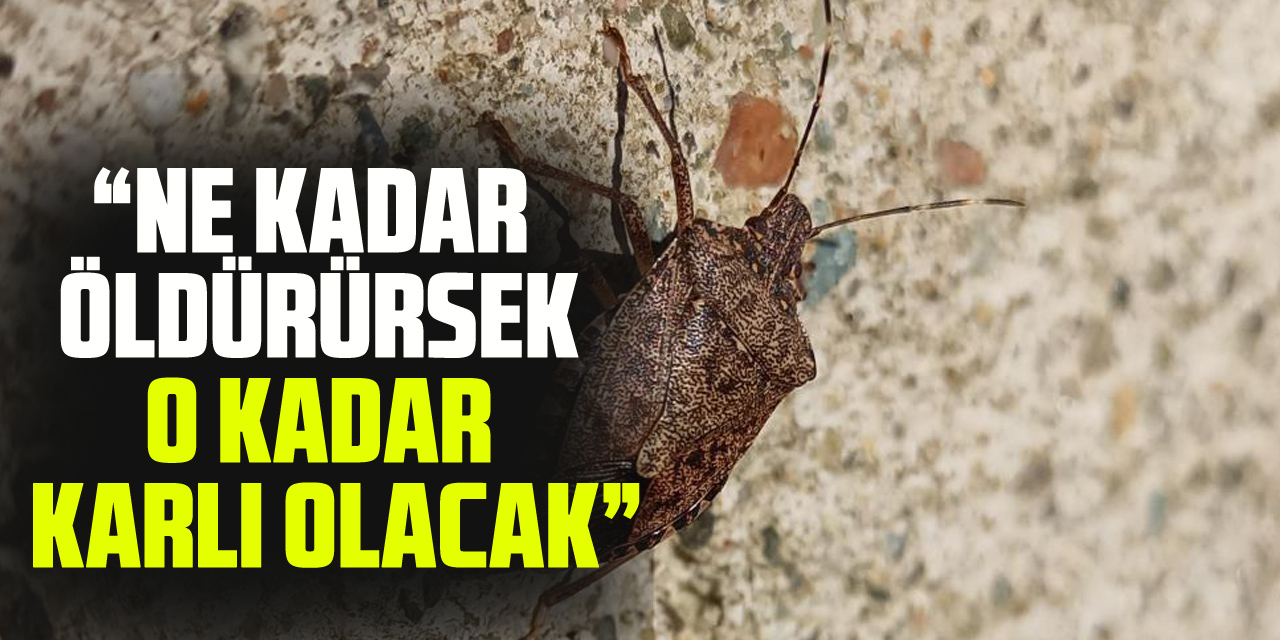 "Ne kadar öldürürsek o kadar karlı olacak"