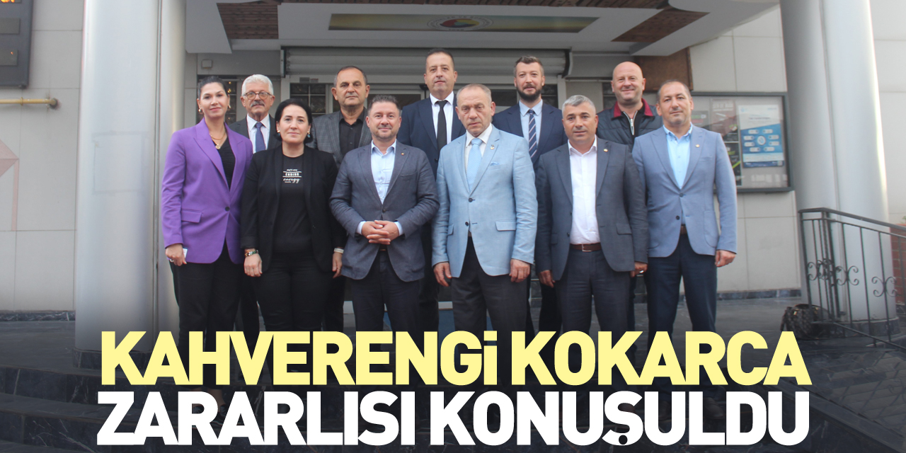 Kahverengi kokarca zararlısı konuşuldu