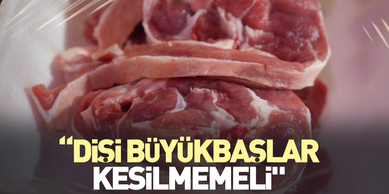 “Dişi büyükbaşlar kesilmemeli"