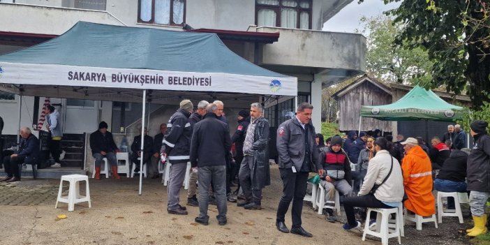 Kestane toplamaya diye evinden çıkmıştı