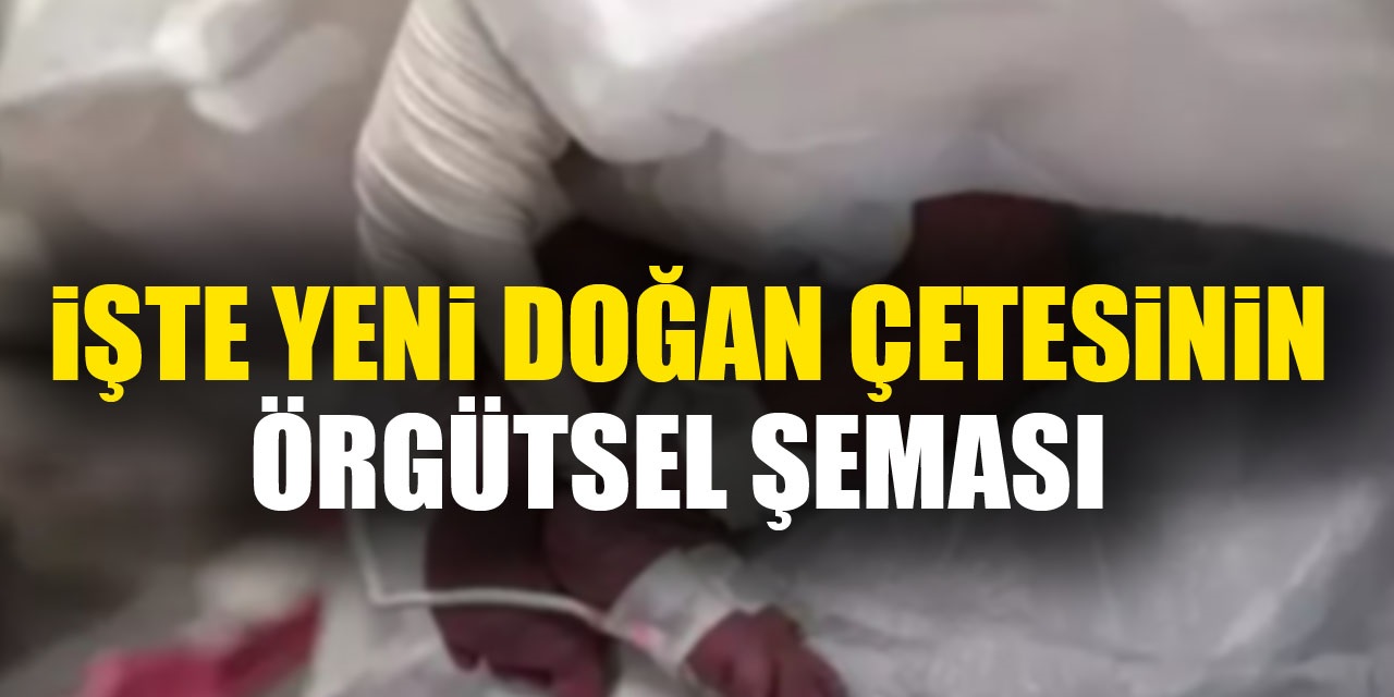 iŞTE YENi DOĞAN ÇETESiNiN ÖRGÜTSEL ŞEMASI