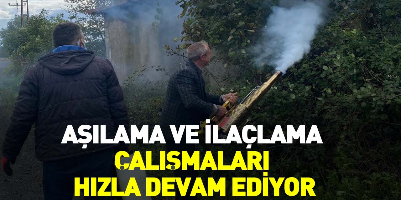 Aşılama ve İlaçlama çalışmaları hızla devam ediyor