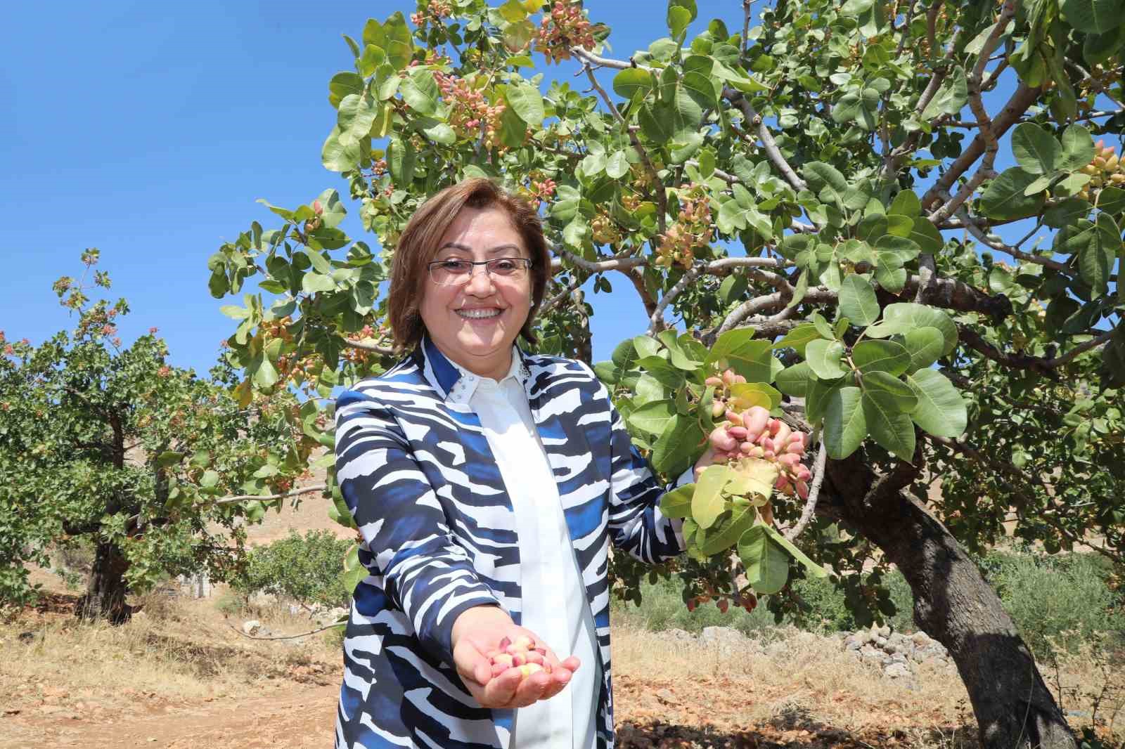 Dünyanın en iyi kuruyemişleri arasında antep fıstığı sıralamada ikinci sırada