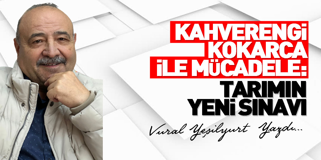 Kahverengi Kokarca ile Mücadele: Tarımın Yeni Sınavı