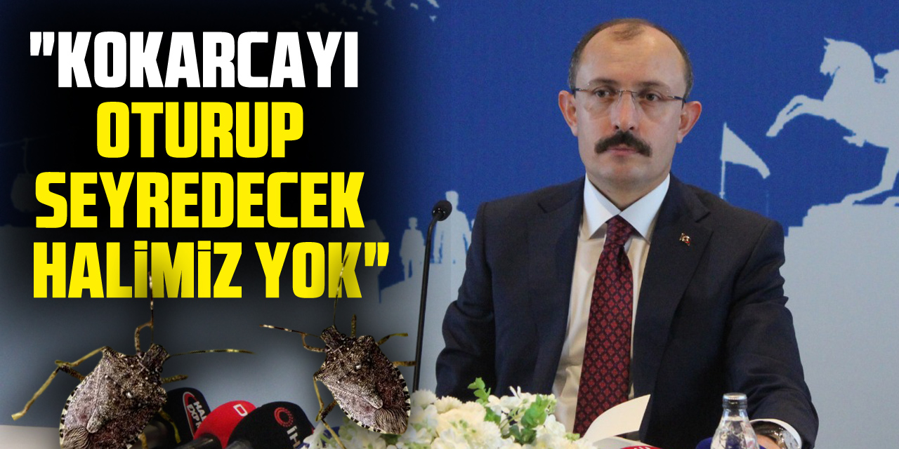 "Kokarcayı oturup seyredecek halimiz yok"