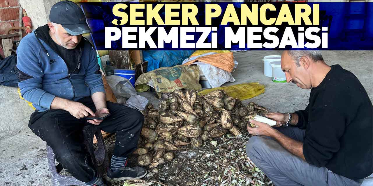 ŞEKER PANCARI PEKMEZİ MESAİSİ