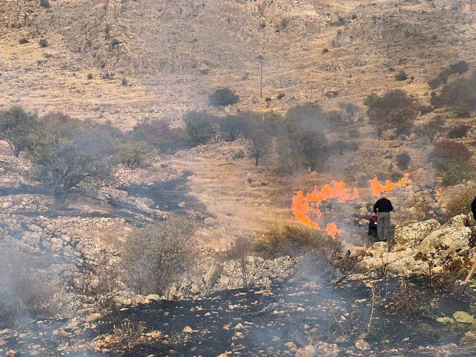 Mardin’de çıkan ot yangını uzun uğraşlar sonunda söndürüldü