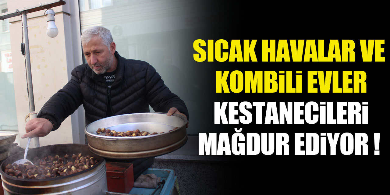 SICAK HAVALAR VE KOMBİLİ EVLER KESTANECİLERİ MAĞDUR EDİYOR !