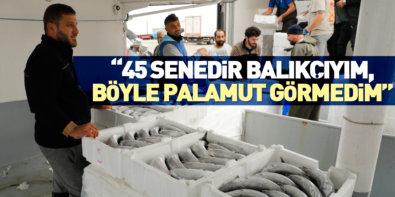 "45 senedir balıkçıyım, böyle palamut görmedim"