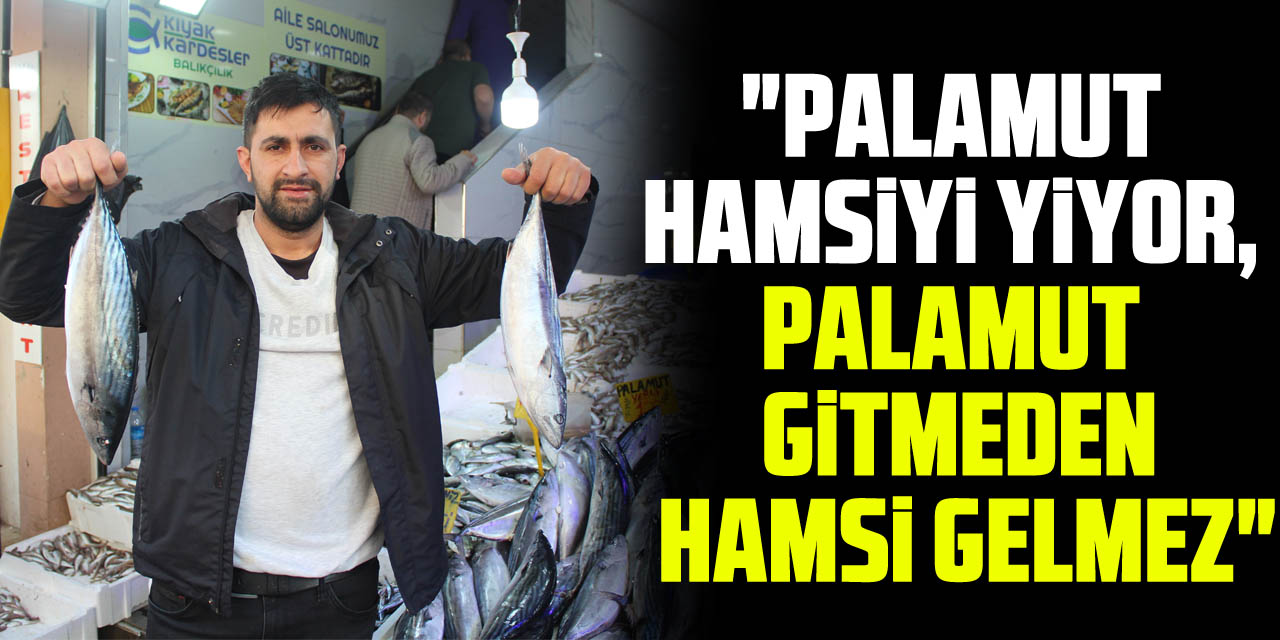 "PALAMUT HAMSİYİ YİYOR, PALAMUT GİTMEDEN HAMSİ GELMEZ"