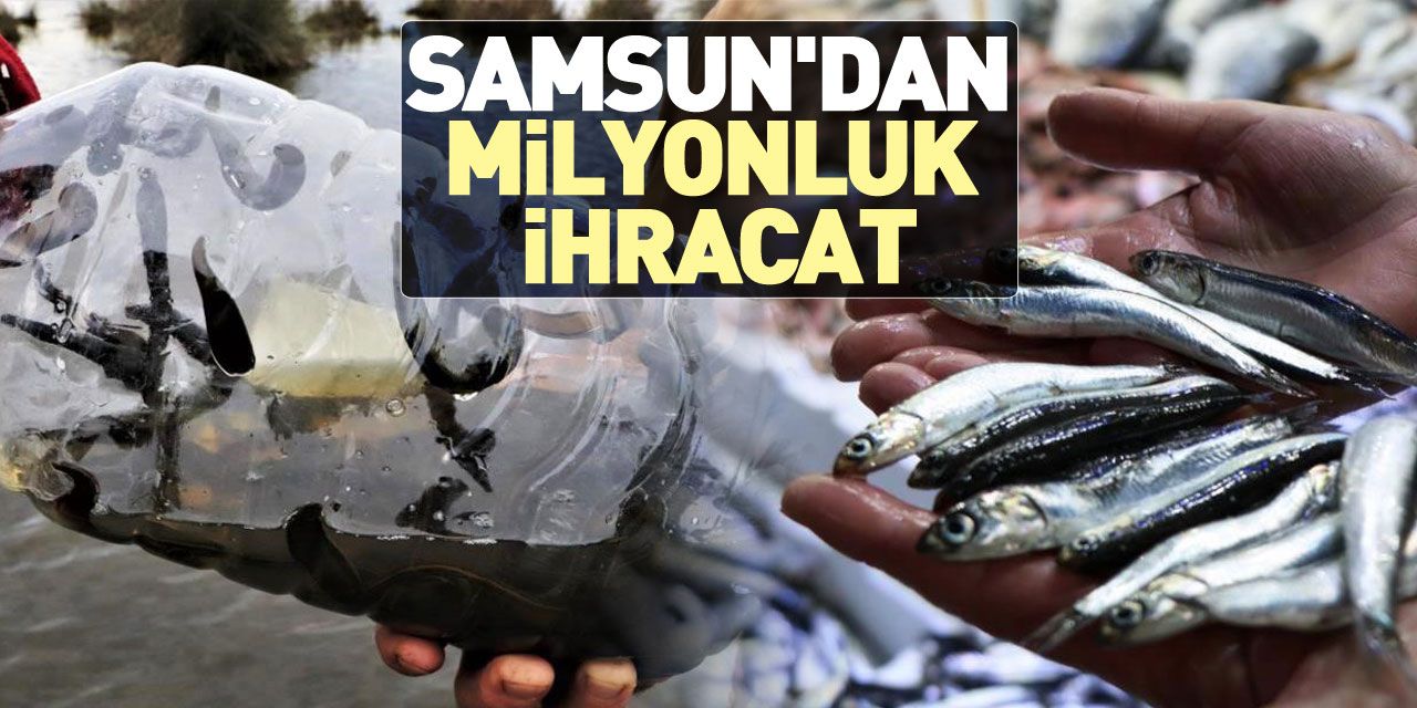 SAMSUN'DAN MİLYONLUK İHRACAT