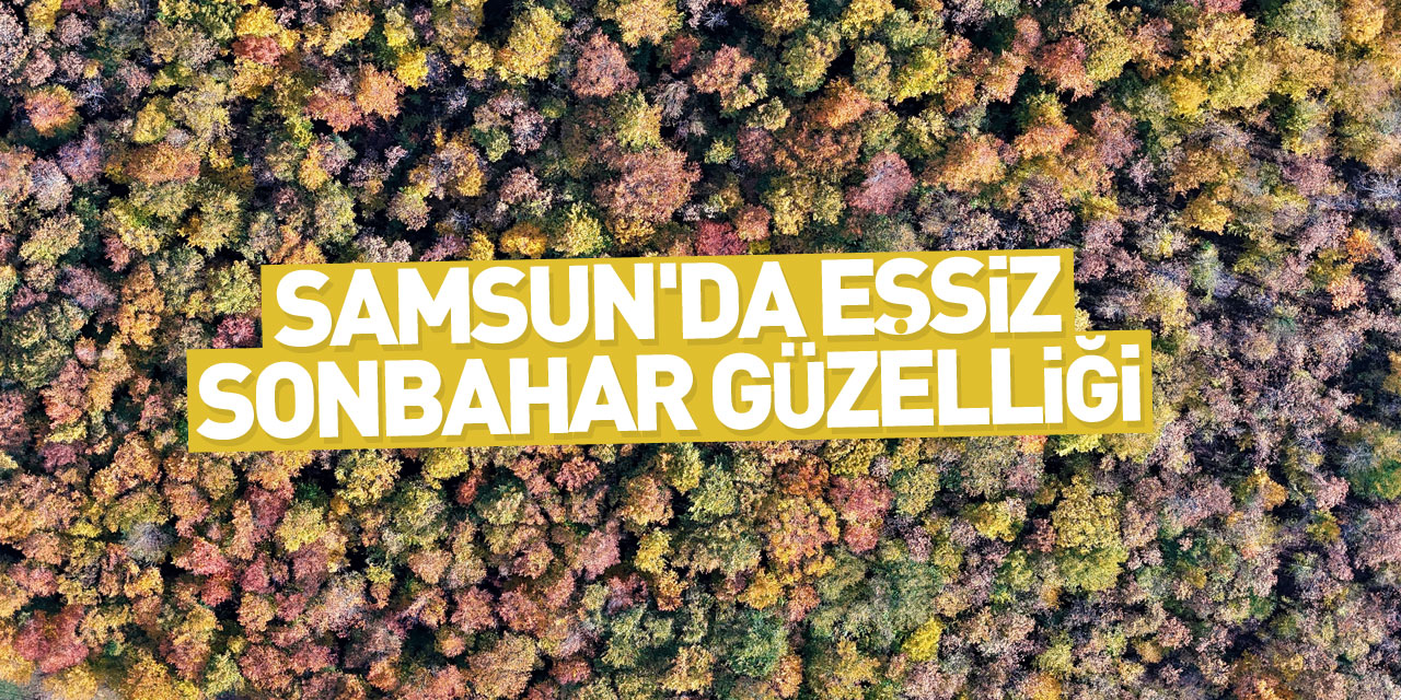 SAMSUN'DA EŞSİZ SONBAHAR GÜZELLİĞİ