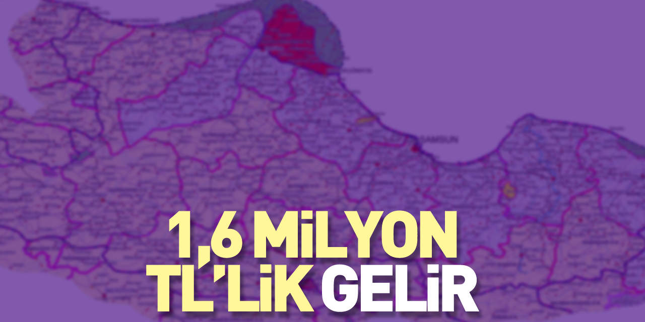 1,6 milyon TL’lik gelir