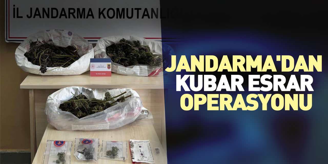 Jandarma'dan kubar esrar operasyonu