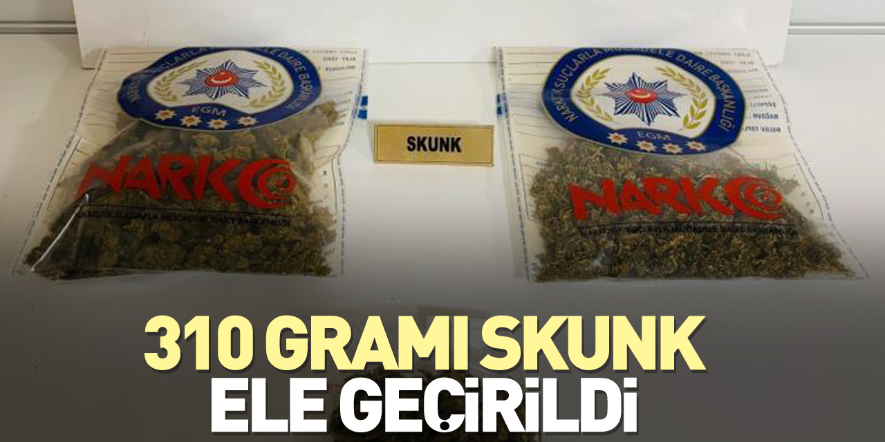 310 gramı skunk ele geçirildi