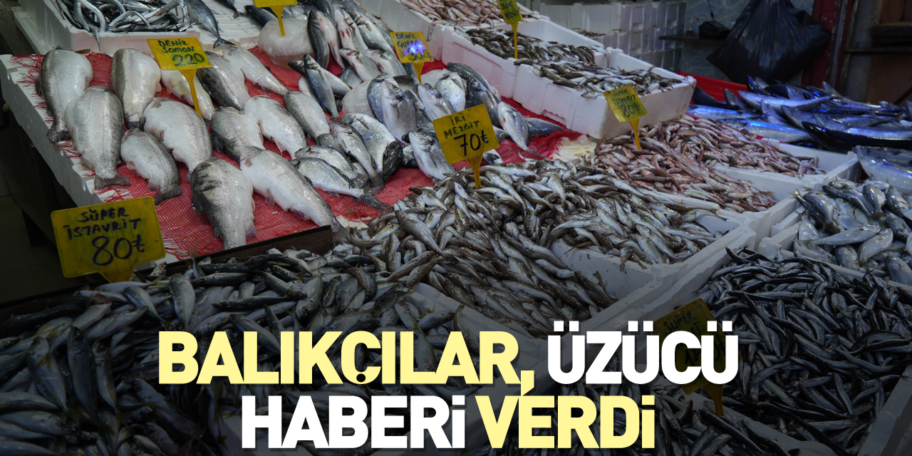 Balıkçılar, üzücü haberi verdi