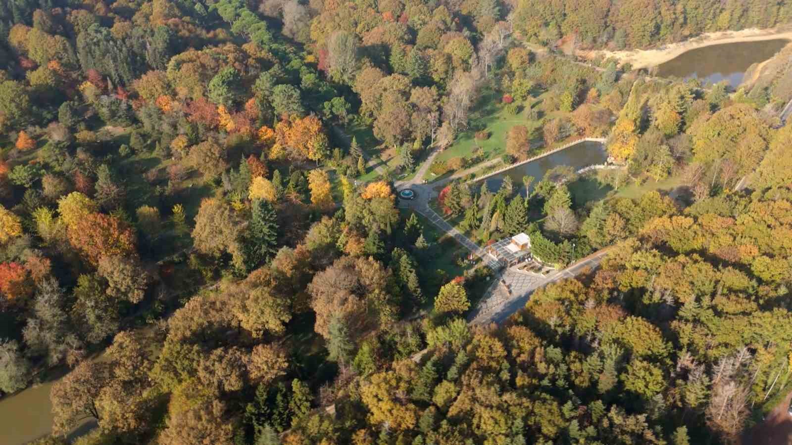 Atatürk Arboretumu’ndaki kartpostallık sonbahar manzarası havadan kuş başı cekildi