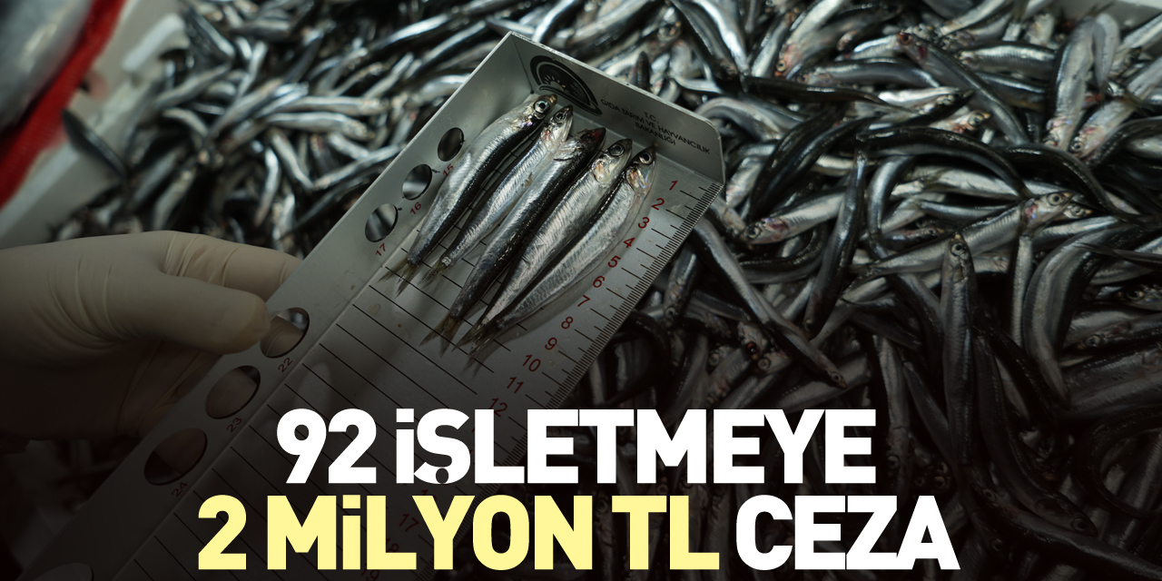 92 işletmeye 2 milyon TL ceza