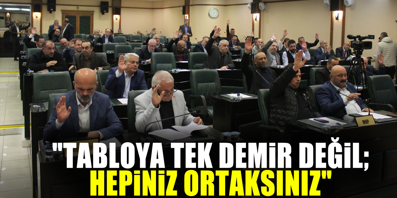 "TABLOYA TEK DEMİR DEĞİL; HEPİNİZ ORTAKSINIZ"