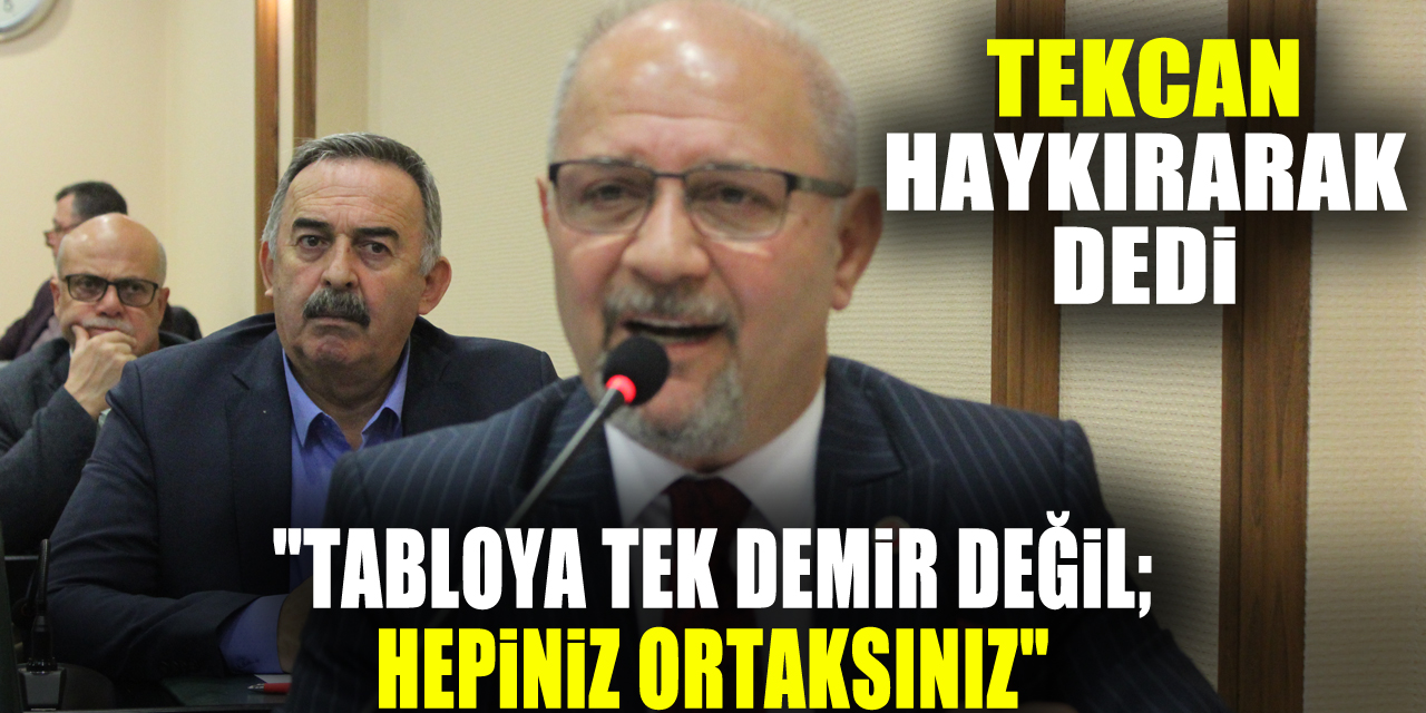 "TABLOYA TEK DEMİR DEĞİL; HEPİNİZ ORTAKSINIZ"