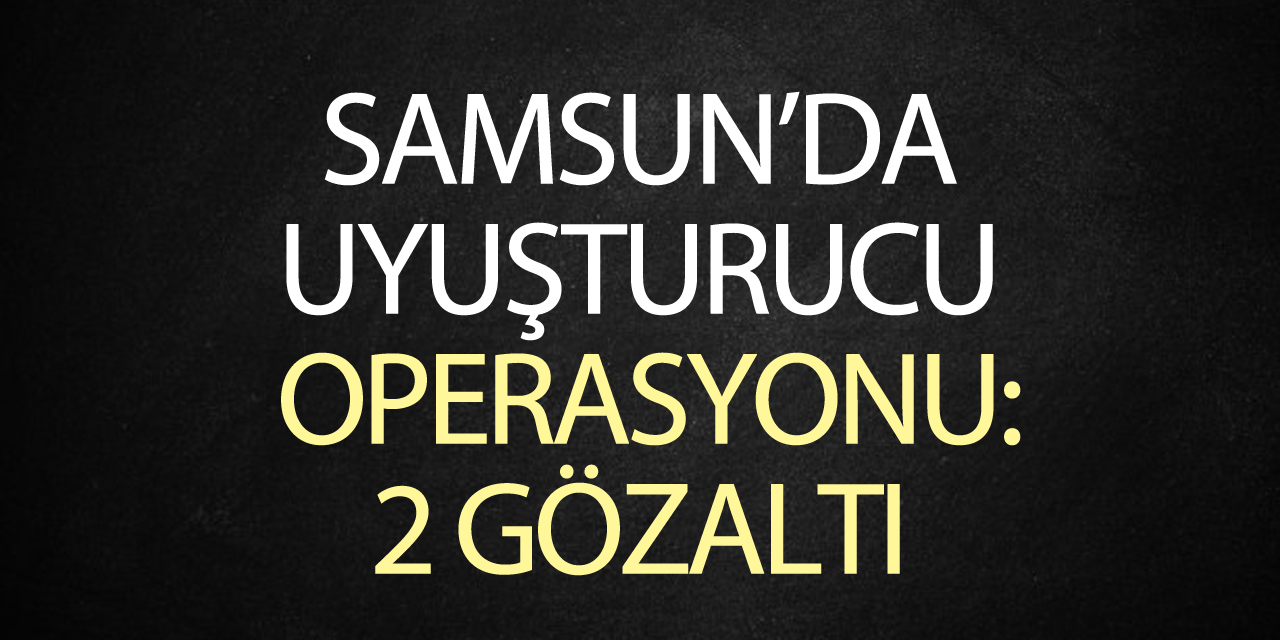 Samsun'da uyuşturucu operasyonu: 2 gözaltı