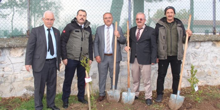 Vefat eden öğretmenler anısına fidan dikildi