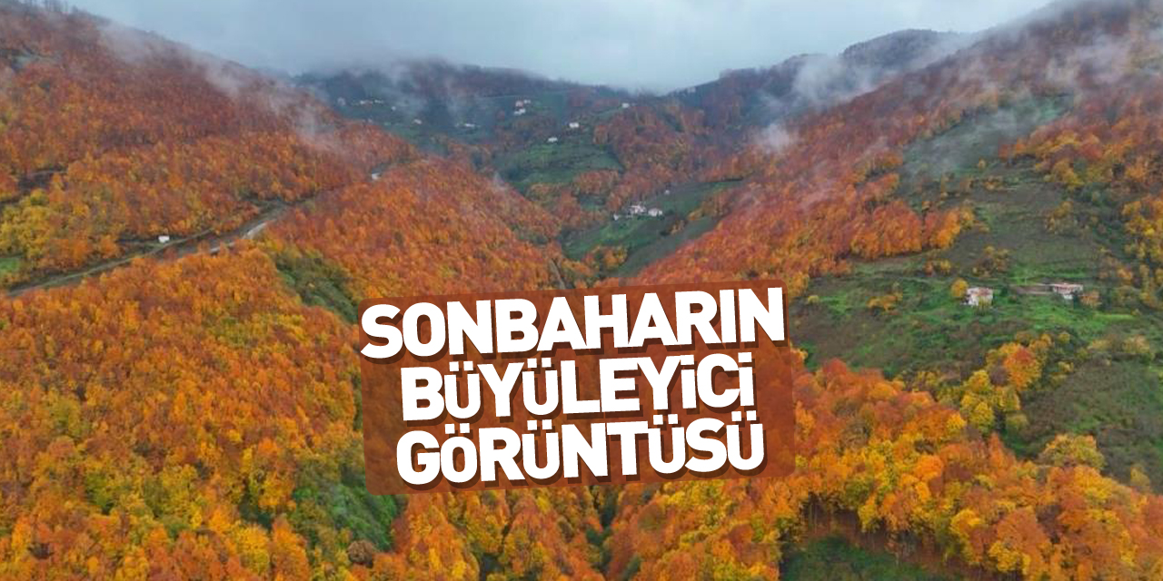 Sonbaharın büyüleyici görüntüsü