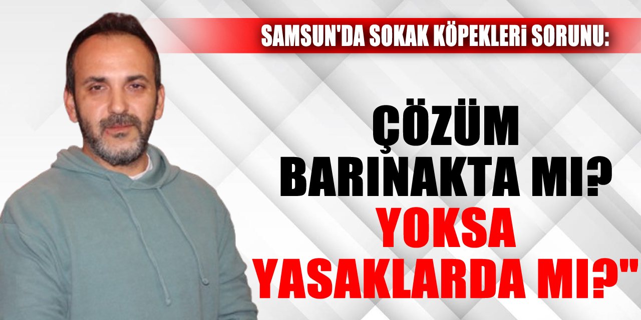 Çözüm Barınakta mı? Yoksa Yasaklarda mı?"