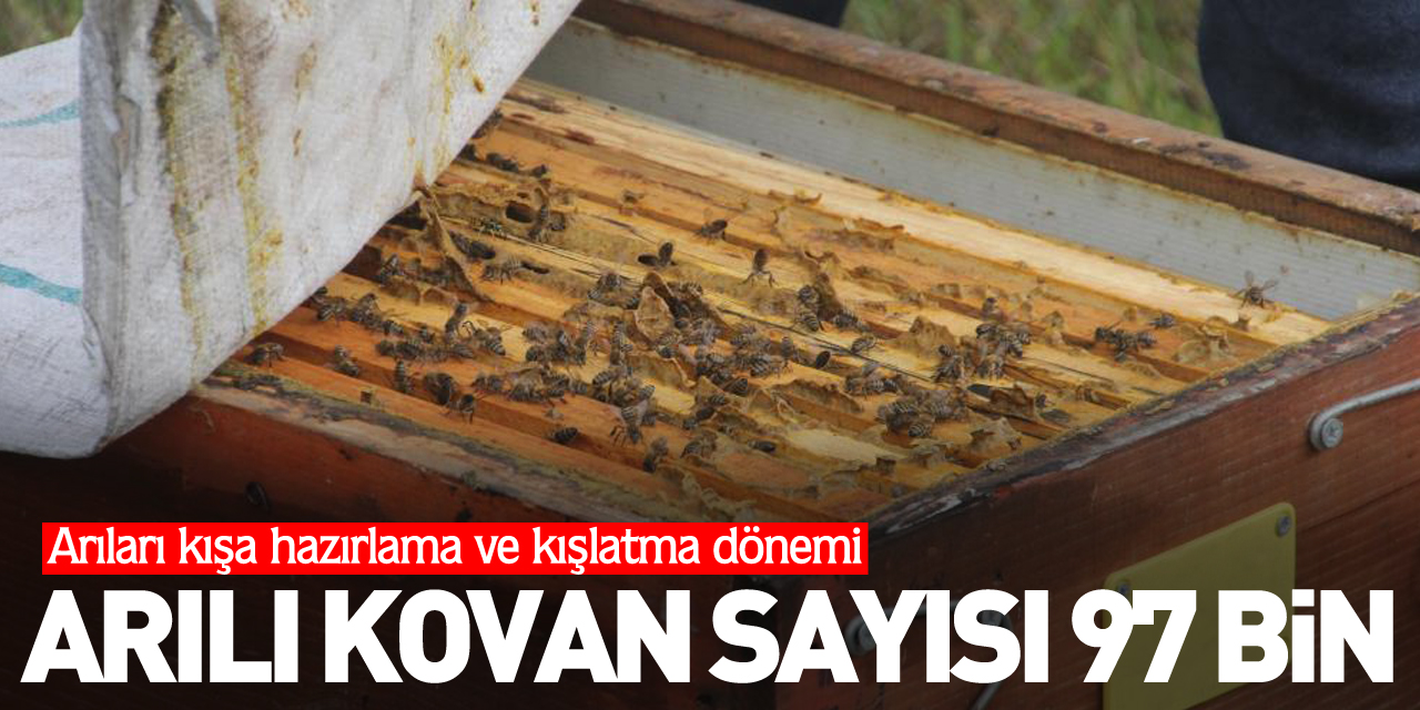 Arılı kovan sayısı 97 bin