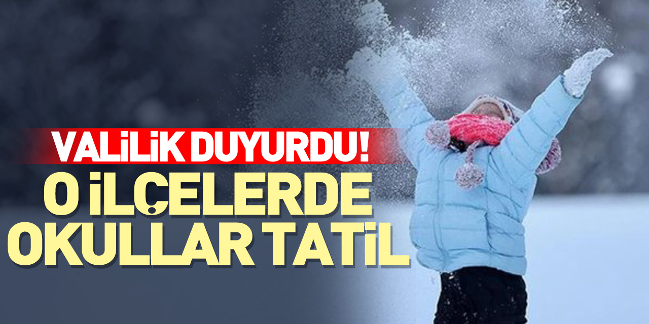 Valilik Duyurdu! O ilçelerde kar tatili