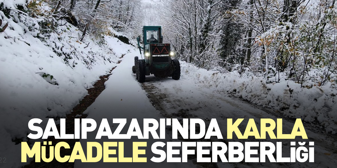 SALIPAZARI'NDA KARLA MÜCADELE SEFERBERLİĞİ