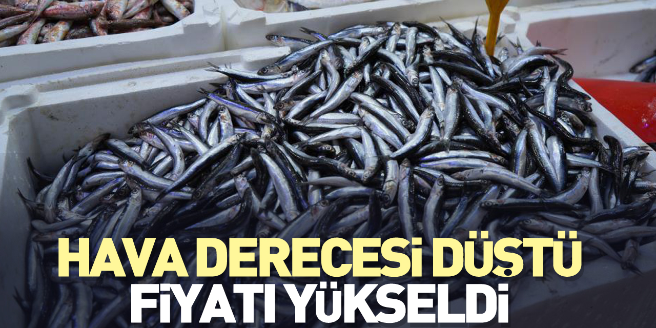 Hava derecesi düştü, fiyatı yükseldi