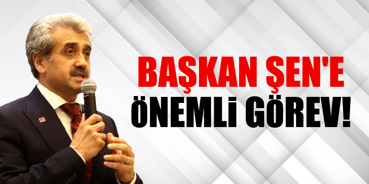 Başkan Şen'e önemli görev!