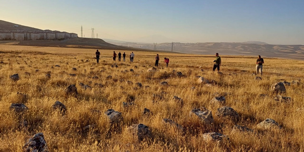 Avusturyalı profesörden Türkiye'de önemli keşifler