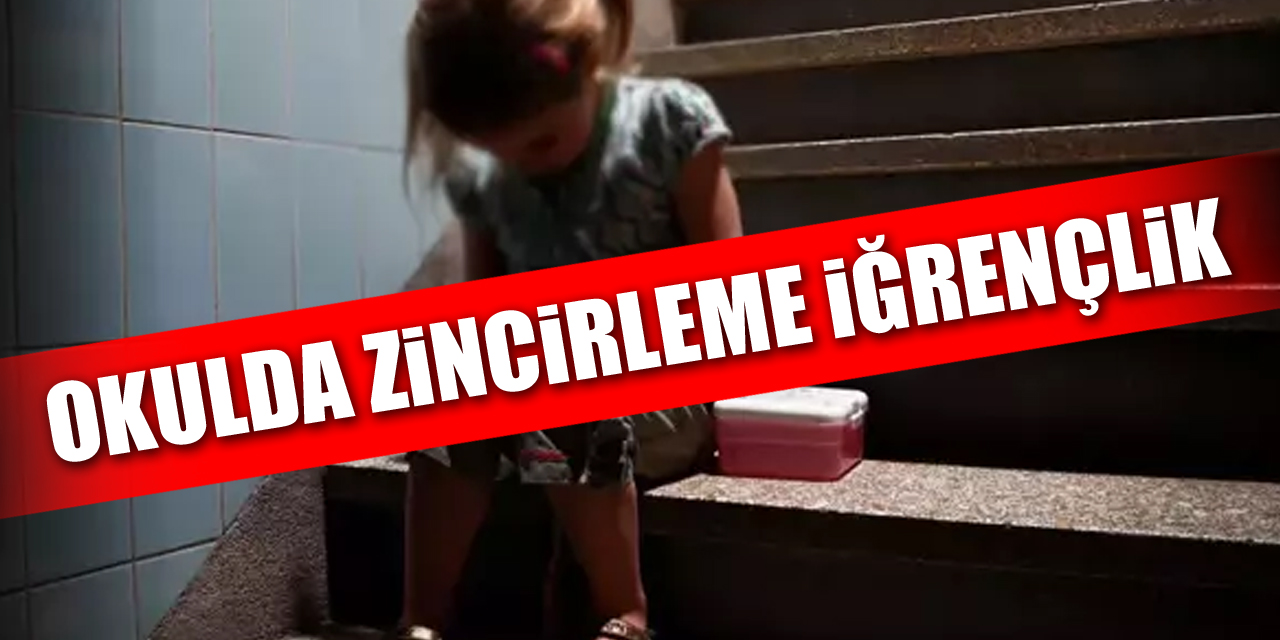 OKULDA ZiNCiRLEME iĞRENÇLiK