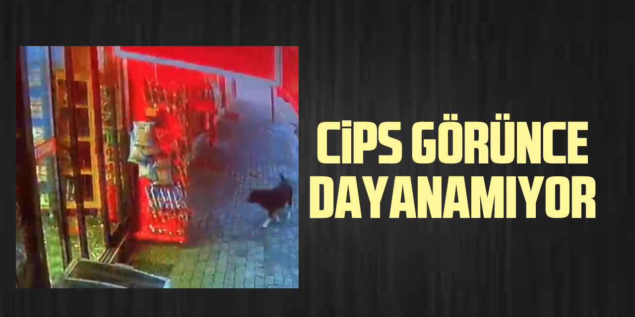 CİPS GÖRÜNCE DAYANAMIYOR