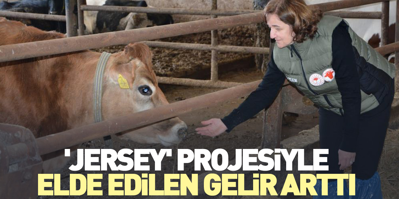 'Jersey' projesiyle elde edilen gelir arttı