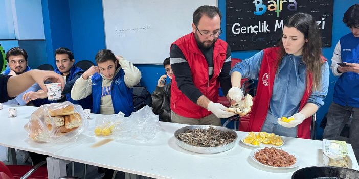 Samsun'da hamsi etkinliği