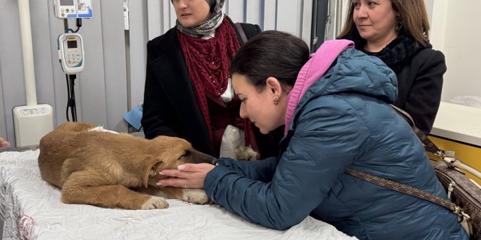 "Büyük bir algımız vardı, bunu kırdılar"