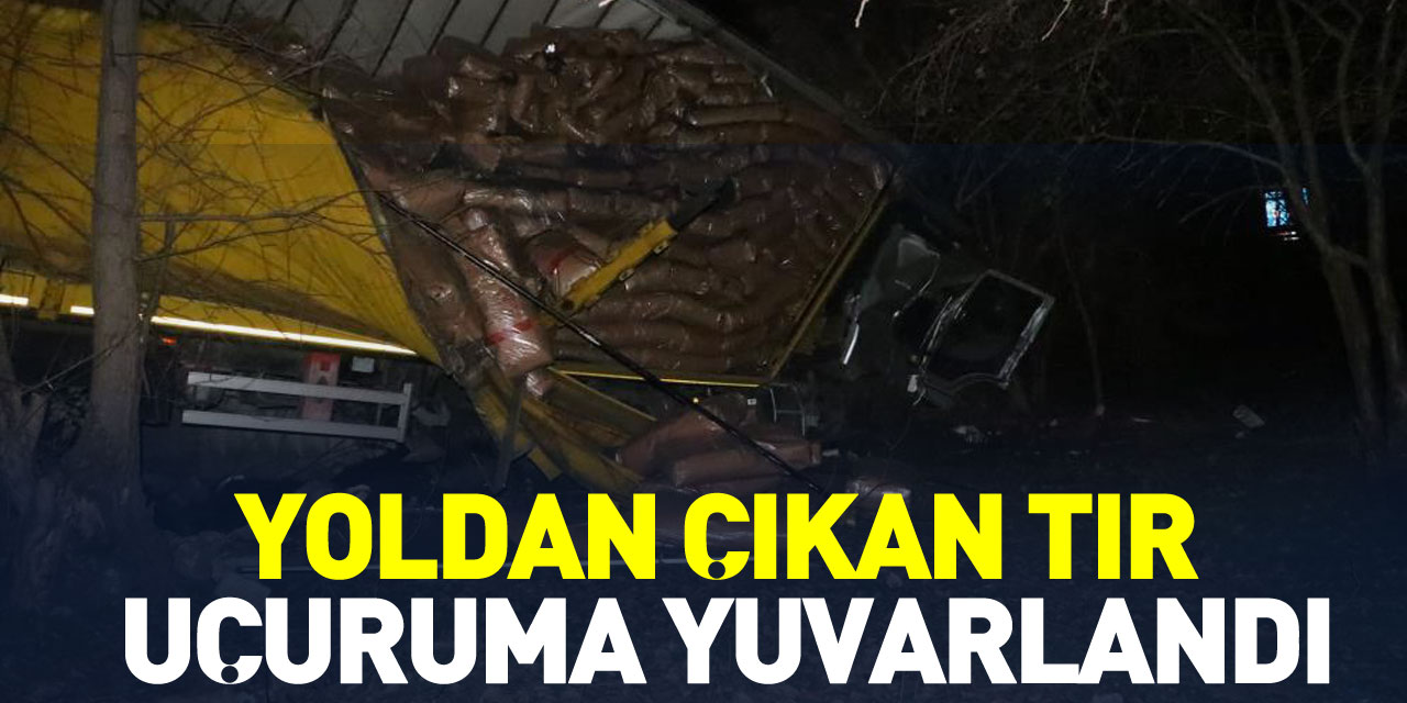 Yoldan çıkan tır uçuruma yuvarlandı