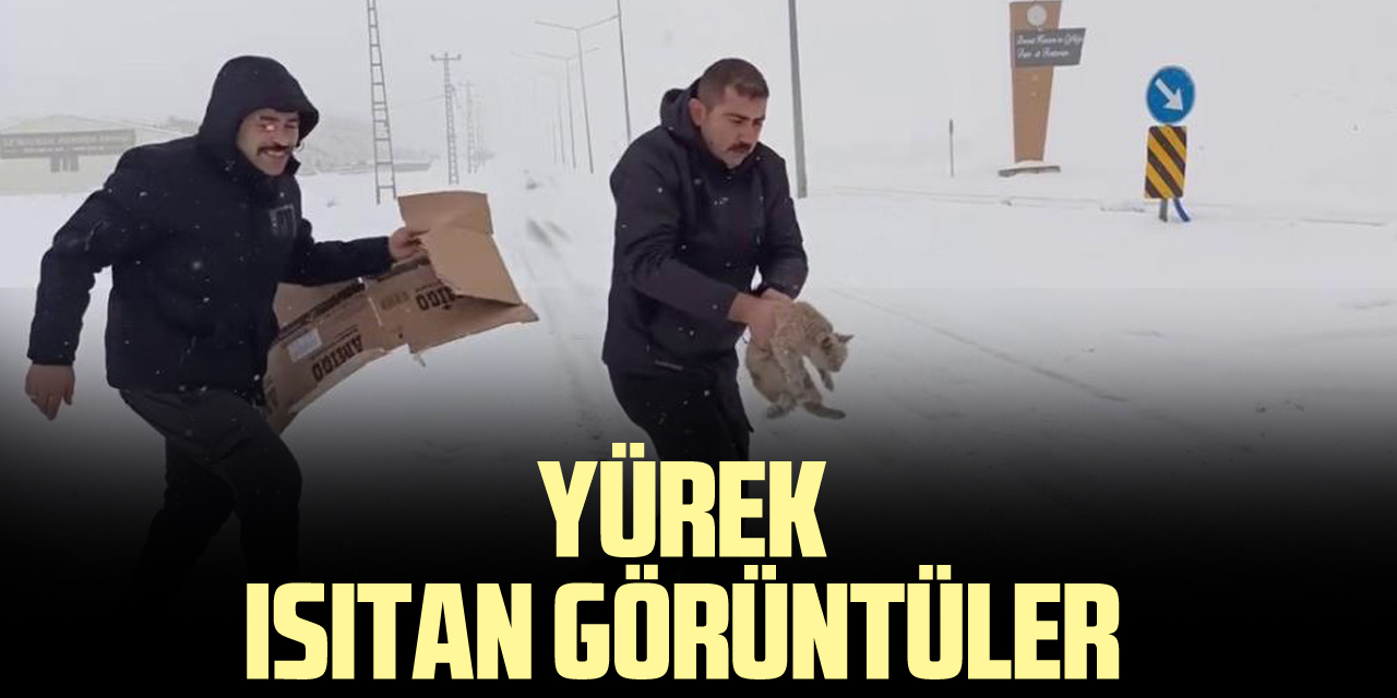 YÜREK ISITAN GÖRÜNTÜLER