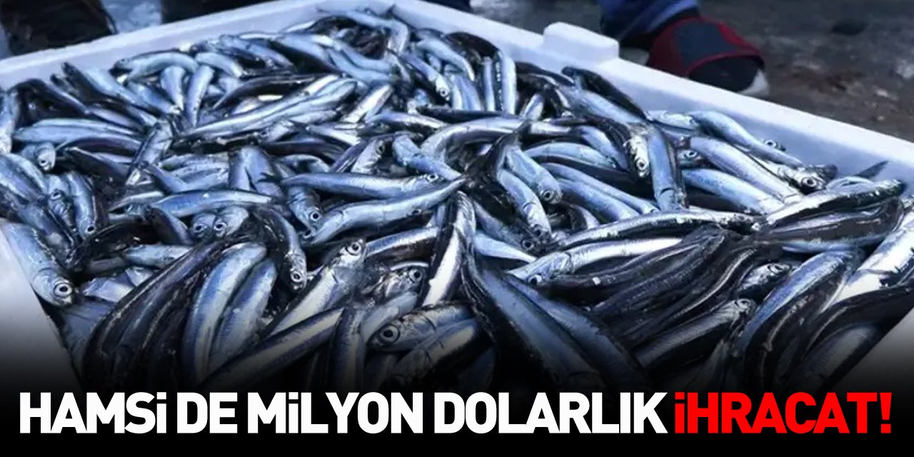 Hamsi de milyon dolarlık ihracat!