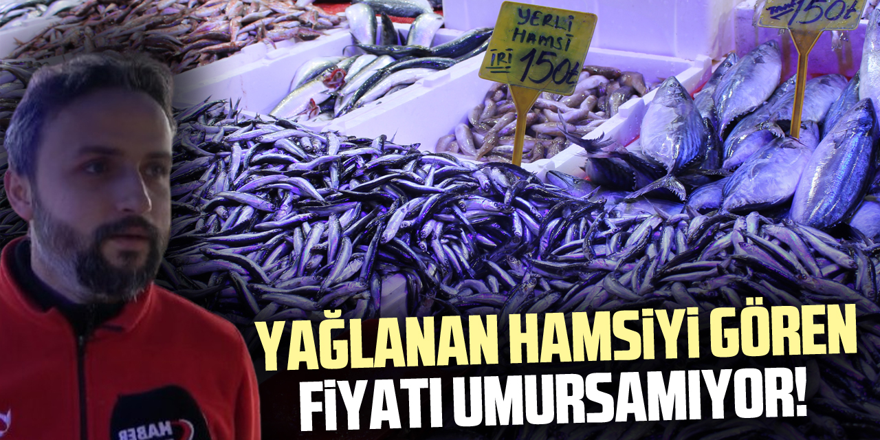 YAĞLANAN HAMSİYİ GÖREN FİYATI UMURSAMIYOR!